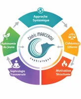 approche systémique